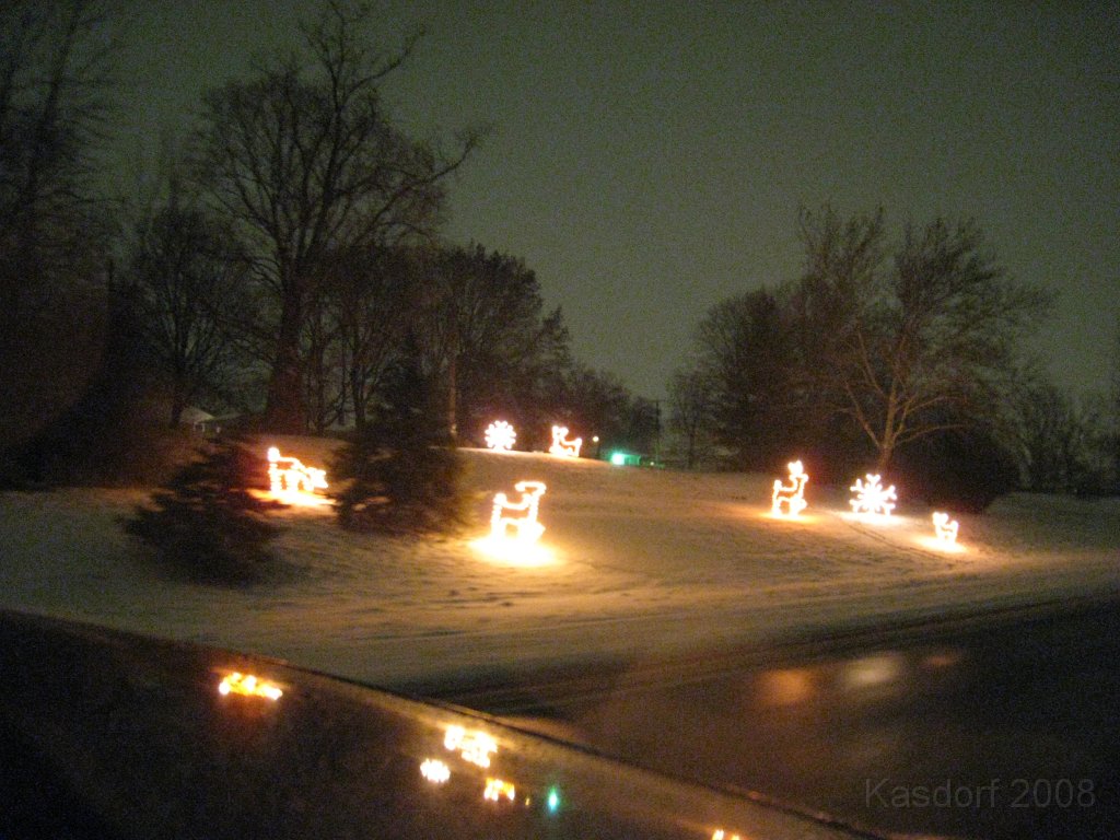 Christmas Lights Hines Drive 2008 041.jpg - The 2008 Wayne County Hines Drive Christmas Light Display. 4.5 miles of Christmas Light Displays and lots of animation!